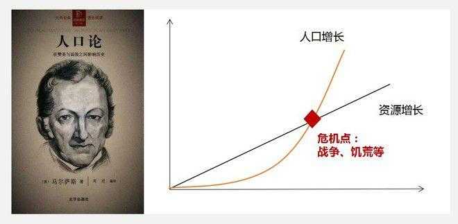 斑马线:从自然基因到城市智慧的进化图谱
