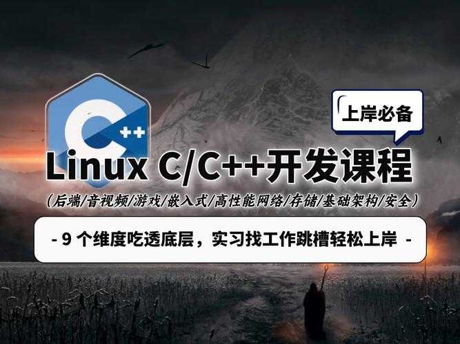 C语言编译器2025技术演进与行业实践
