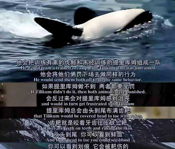2025《模拟山羊3》虎鲸闯天关通关全攻略
