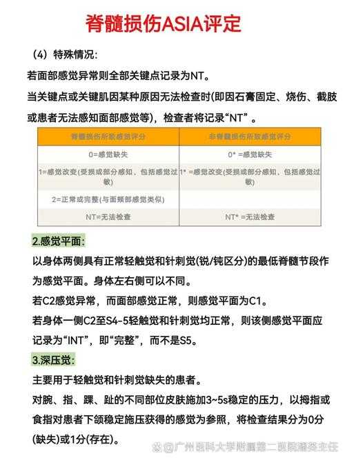 关于AFK(Away from Keyboard)现象的效率评估与行为本质分析