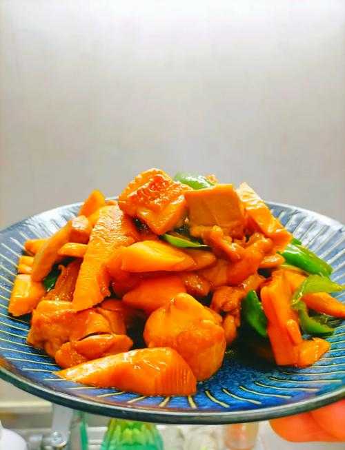 如何烹饪美味肉类家常菜?100种简单易学做法