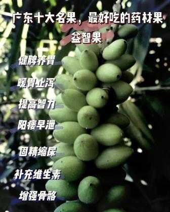 如何有效利用潜能果?潜能果的作用和用途是什么?