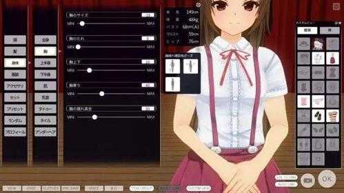 Custom Maid 3D官方下载指南与风险提示