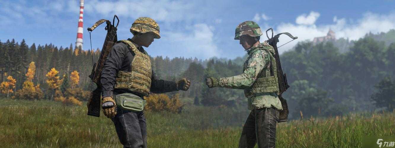 2025《DayZ》领地旗帜建造升级全攻略