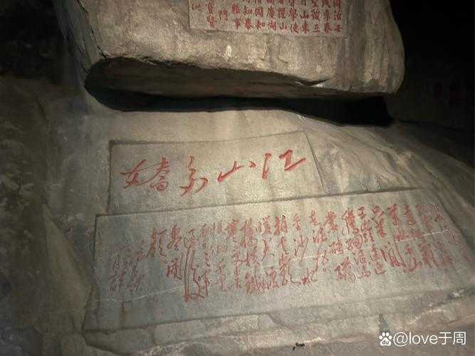 以下是对泰山门派攻略的深度分析与优化建议: