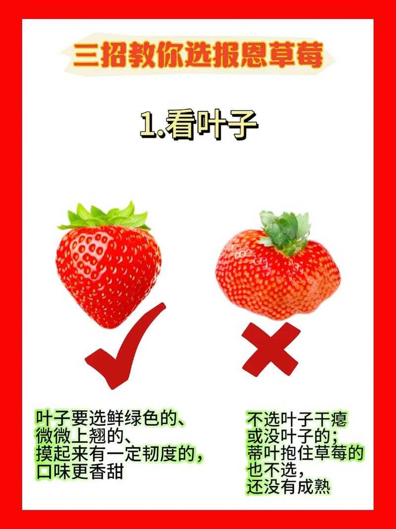 百种水果:如何挑选新鲜果实并了解其营养特点?