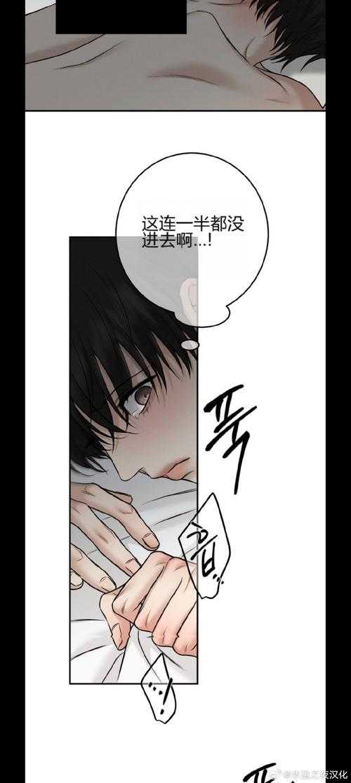 如何观看并评价动漫之家第47集的情感线故事转折?
