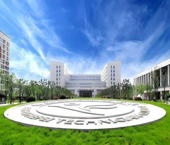 血羽职业2025搭配与技能组合详解