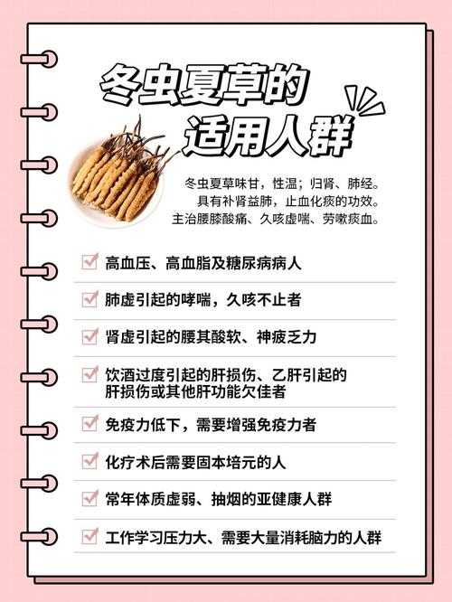 S+Pen适合哪些人群使用？详细解析适用人群