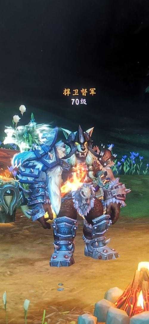 2025年魔兽世界锁甲幻化规则趋势玩家反馈