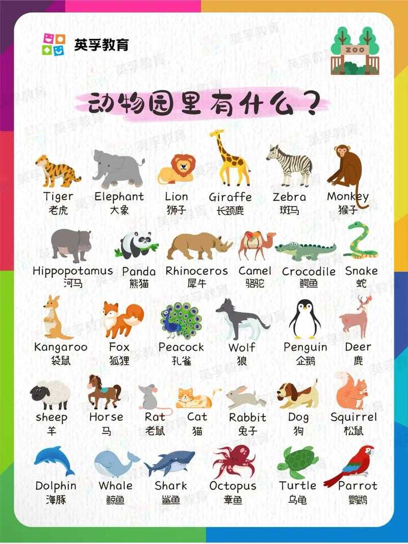 如何获取并认识一千个英文动物名字?有哪些有趣的名字值得分享?