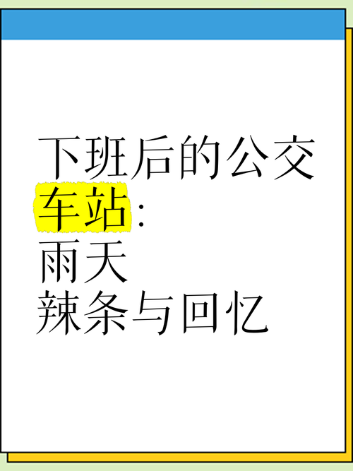 新手必看:公交站雨天生存指南