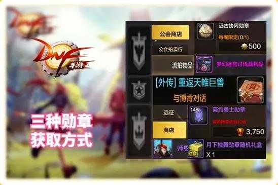 2025 DNF徽章获取途径与技巧指南