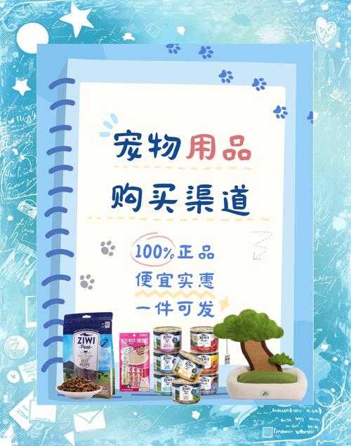 110版本拍卖行宠物宝珠:如何选择最适宜的宠物宝珠来提升冒险体验?