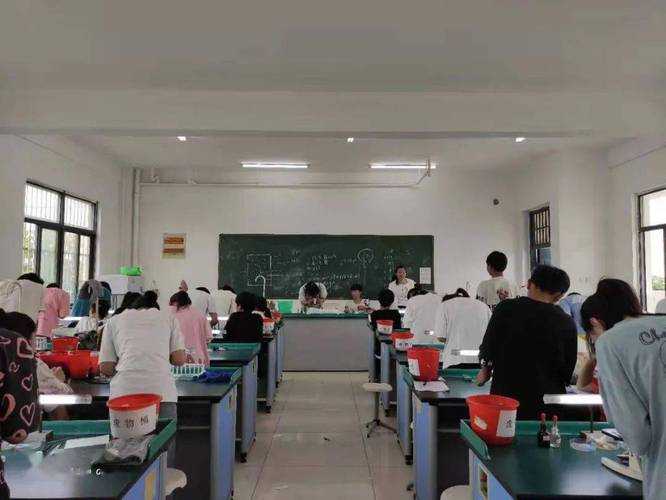 生物老师课堂演示实验全过程