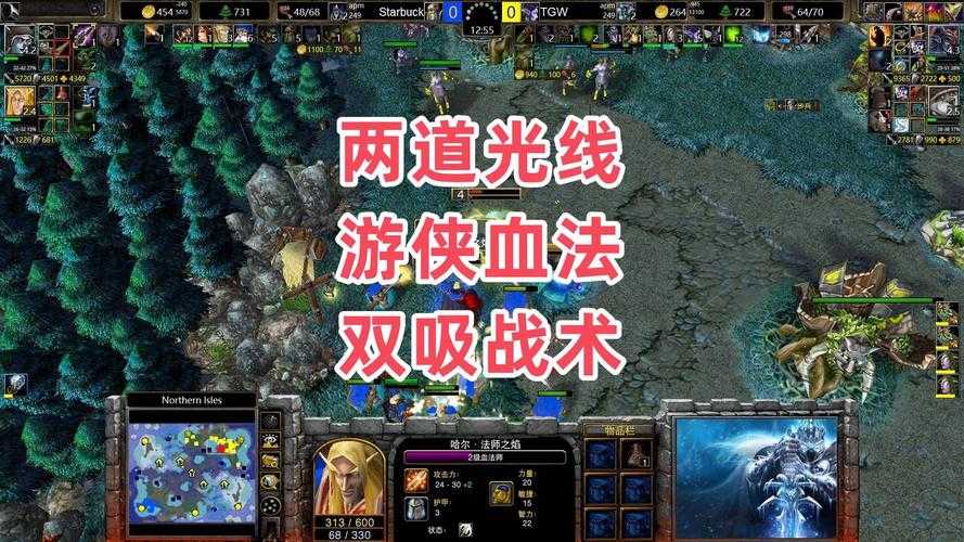 魔兽争霸战术探讨：如何通过英雄等级来提高现实血量