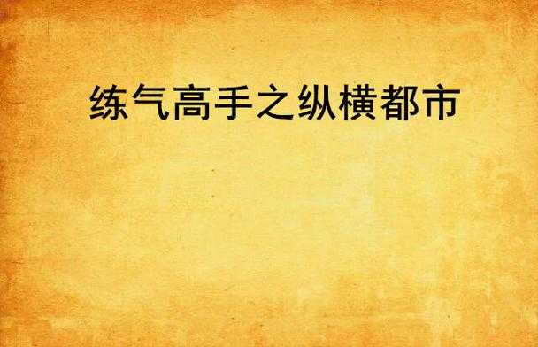 都市高手纵横录