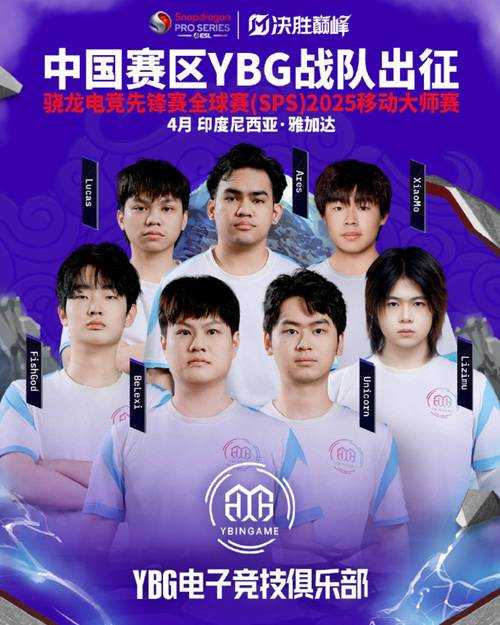 2025年 新我的飞飞 职业搭配全解析 这些组合让你团战稳赢