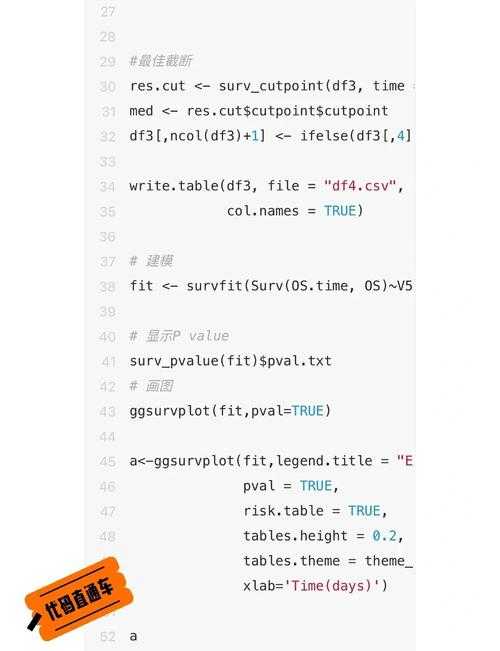 2025年 新枪神 深度体验报告 从新手村到全服第一的生存指