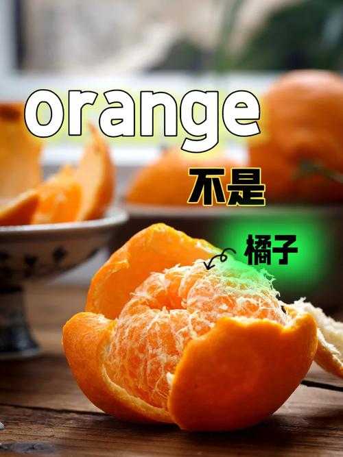 distlemoto百科