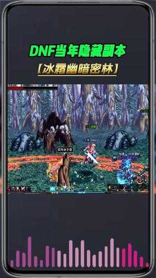 2025DNF冰霜幽暗密林入口传送对比