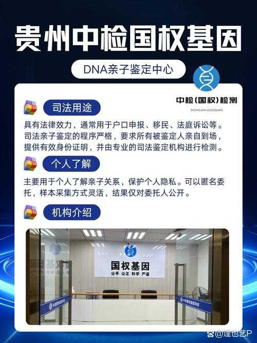 2025年 新飞飞 团队合作职业全解析 附权威数据对比