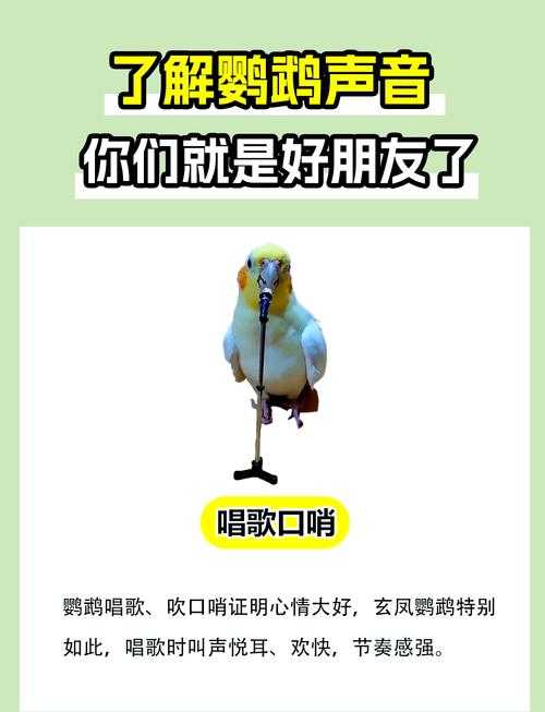 鹦哥原声作品精选集