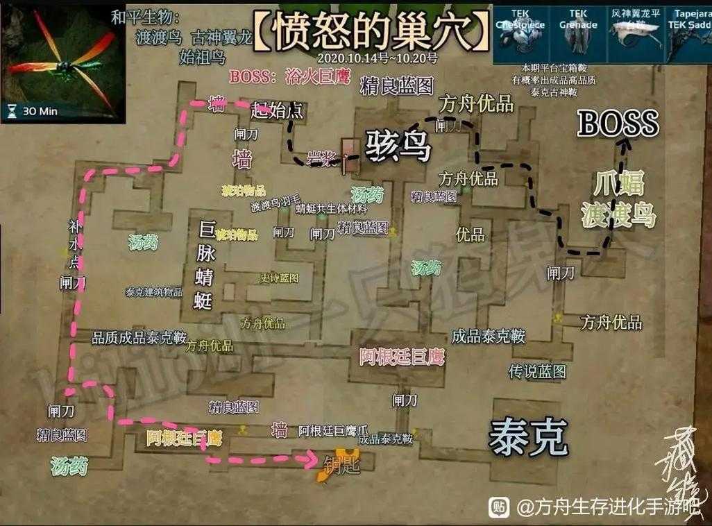 2025年 方舟 生存进化 地牢探索指南