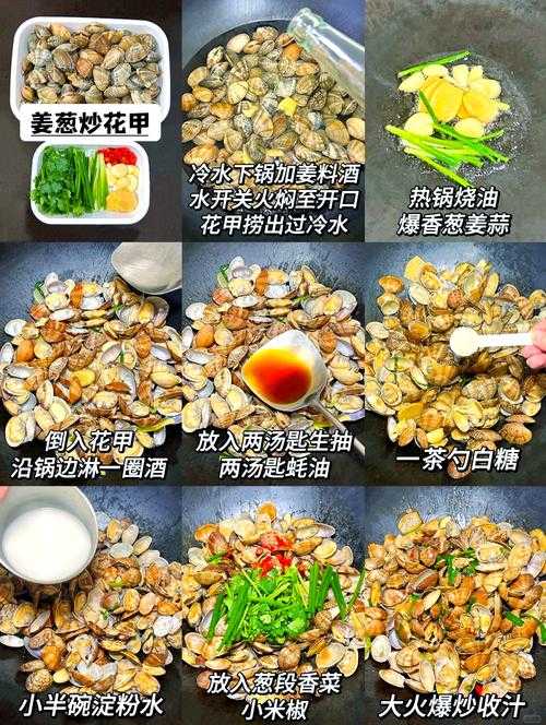 想吃鲜嫩肥美的生蚝花甲却担心踩坑 想找一份完整的免费教程却总