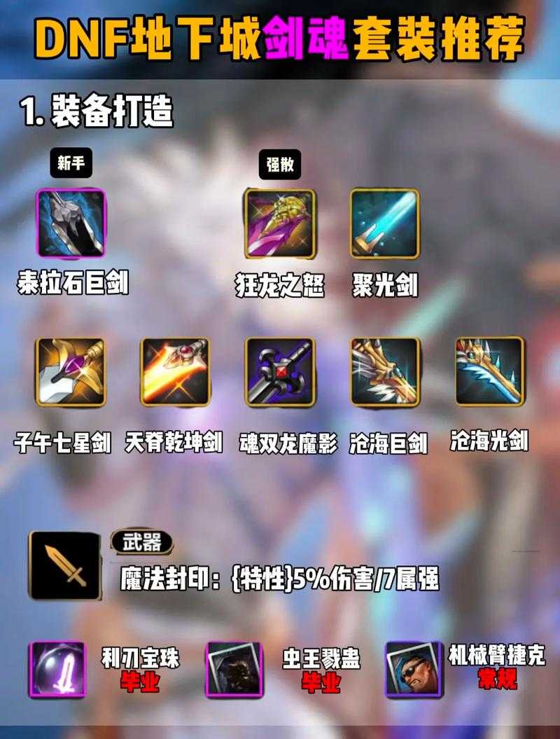 2025年DNF剑魂与花花职业特性装备生态对比