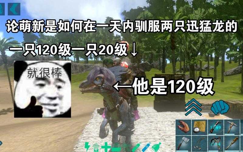 2025年 方舟 生存进化 玩家交流全攻略 从萌新到老手的进