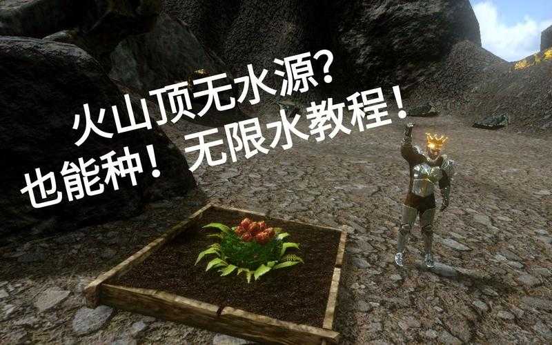2025年 方舟 重制版 无限水源卡机制深度解析