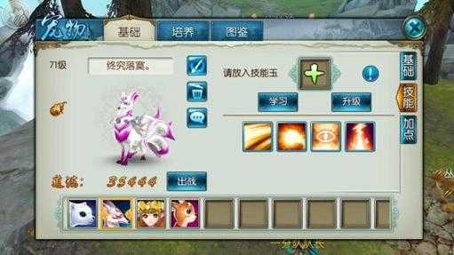 2025年 无双剑心 宠物系统深度实战指南