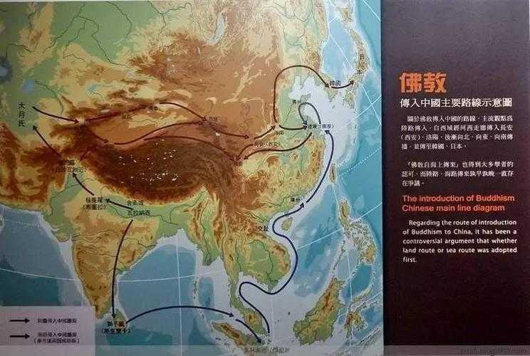 冰上运动的社会价值重构:从文化表达到产业生态的范式革命