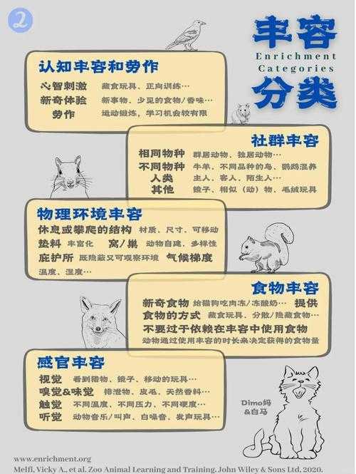 2025年 无极村 宠物养成全攻略 科学养宠数据与实操指南