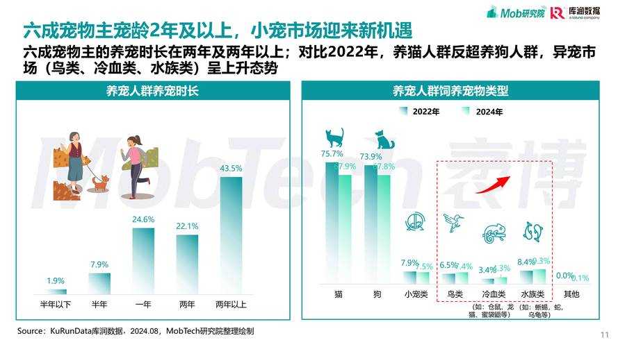2025年 无相 宠物系统深度体验报告