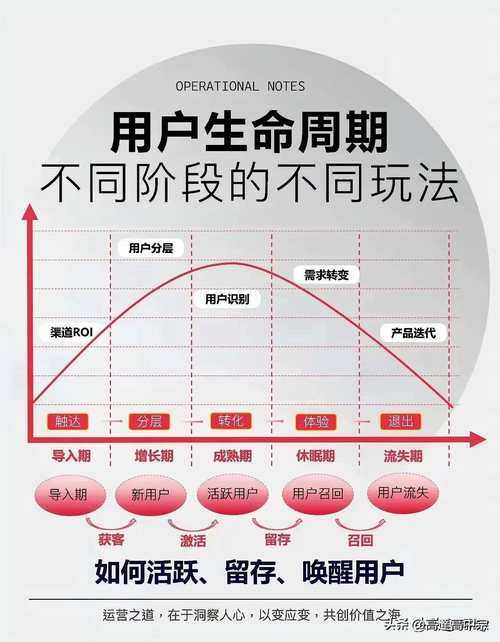 2025年 无门派生存法则 全维度生存指南