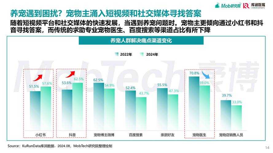 2025年 明朝网游 宠物系统深度体验报告