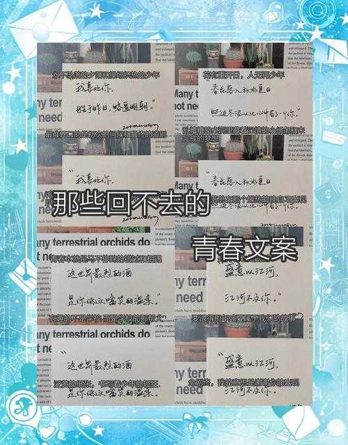 如何度过一个难忘的诺夏时光？十六年诺夏纪念回顾与体验分享