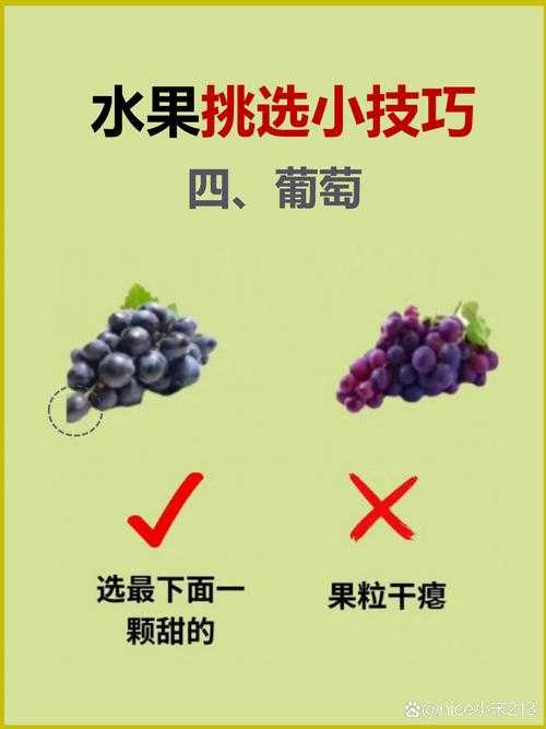 如何轻松选购新鲜水果?掌握1688水果批发网站实用指南