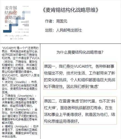 《双剑机制》2025年度战略发展报告(结构化总结)