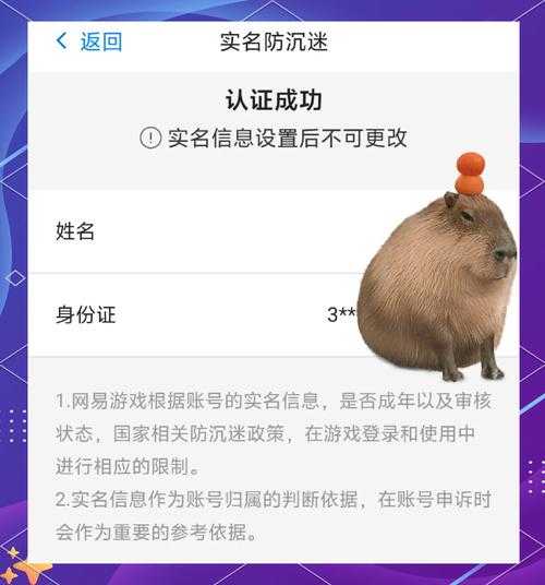 如何安全进行游戏实名认证?过程及注意事项解析