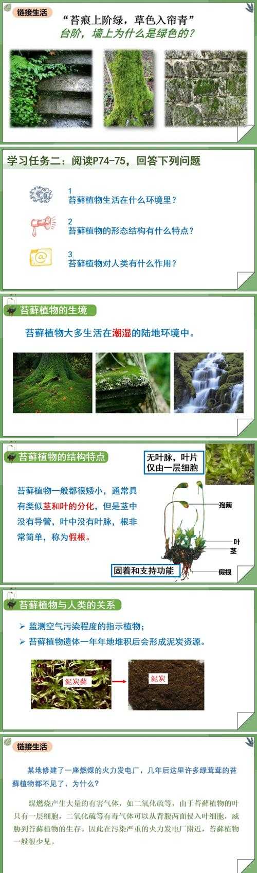 如何以生动方式了解植物世界的精彩瞬间在动画中展现给新一代观众?