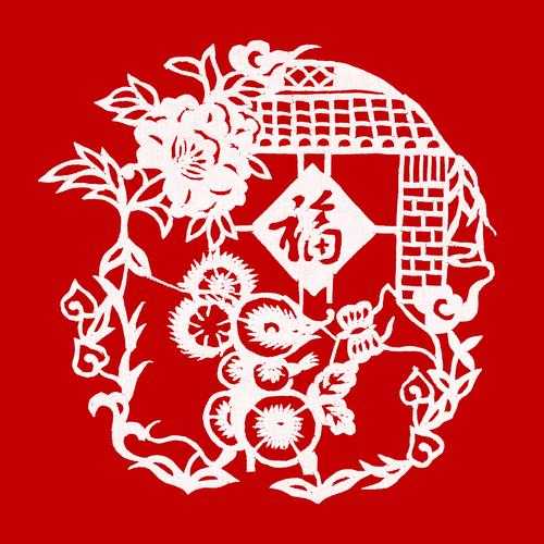 2025最新2025年蛇年春节期间，白猫计划追逐花期的使者——花介绍