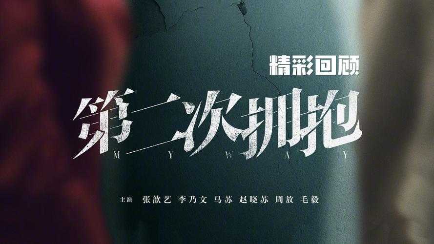 《第二次拥抱》全集在线观看-高清免费完整版