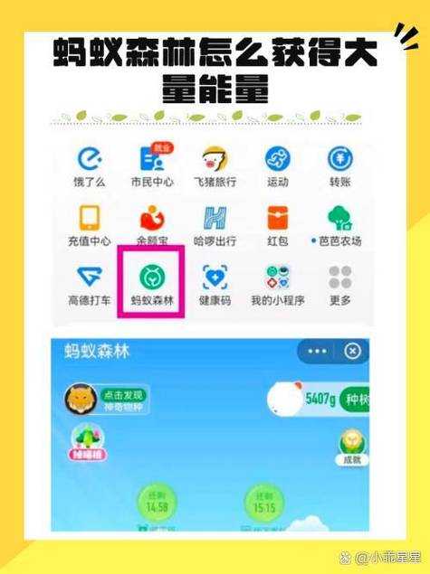 如何获取蚂蚁森林能量获得最新答案?揭秘11月17日的秘密任务