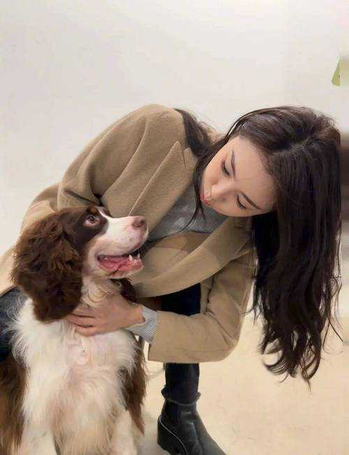 【微博】#狗配人的大片# 狗狗时尚大片,宠物界的潮流新宠