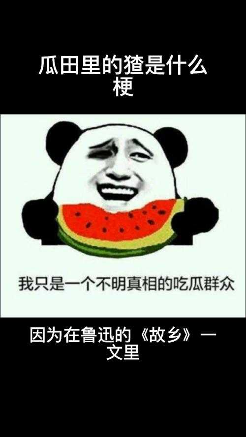 2025最新166fun趣谈:科技界的瓜田里的那些事儿