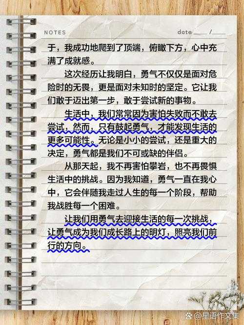 激发勇气,激励人心:10个真实感人的勇敢故事分享