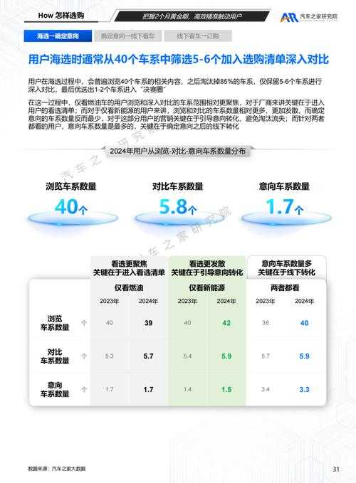 2025年 洲 玩家深度体验报告